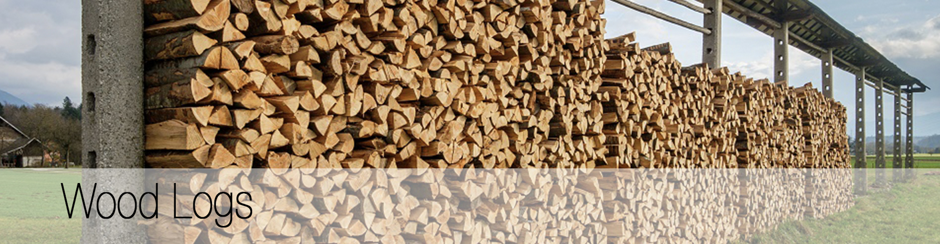 wood logs